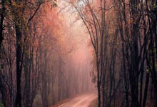 40岁卡索拉：儿子鼓励我战胜病痛，这将是最后一年，卡索拉受了什么伤