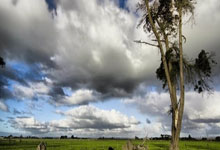 太轻松了！亚马尔一路带球禁区外低射直入死角，巴萨2-0领先，亚马尔项目