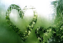 40岁卡索拉：儿子鼓励我战胜病痛，这将是最后一年，卡索拉受了什么伤