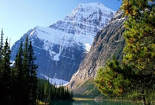 40岁卡索拉：儿子鼓励我战胜病痛，这将是最后一年，卡索拉受了什么伤