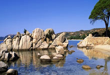 40岁卡索拉：儿子鼓励我战胜病痛，这将是最后一年，卡索拉受了什么伤