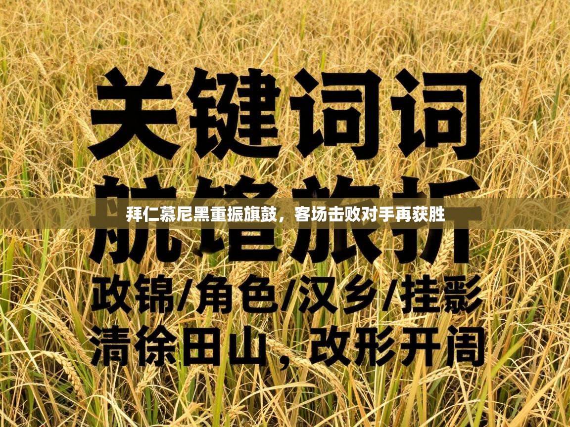 拜仁慕尼黑重振旗鼓,客场击败对手再获胜 第1张