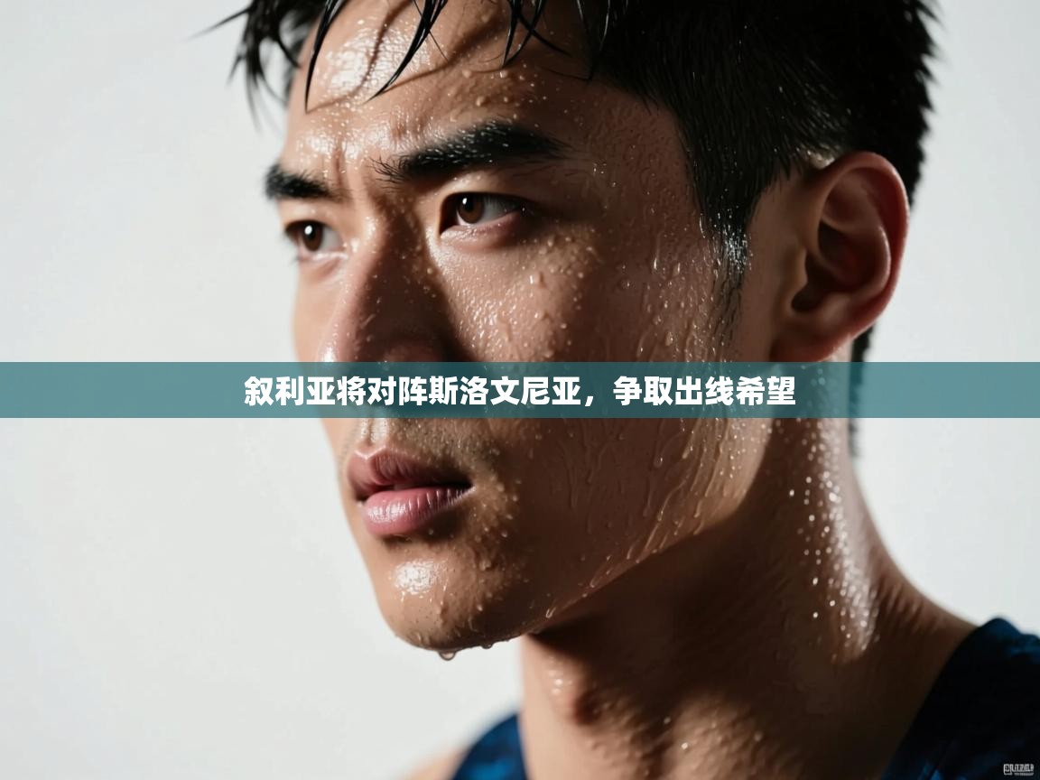 叙利亚将对阵斯洛文尼亚，争取出线希望  第1张