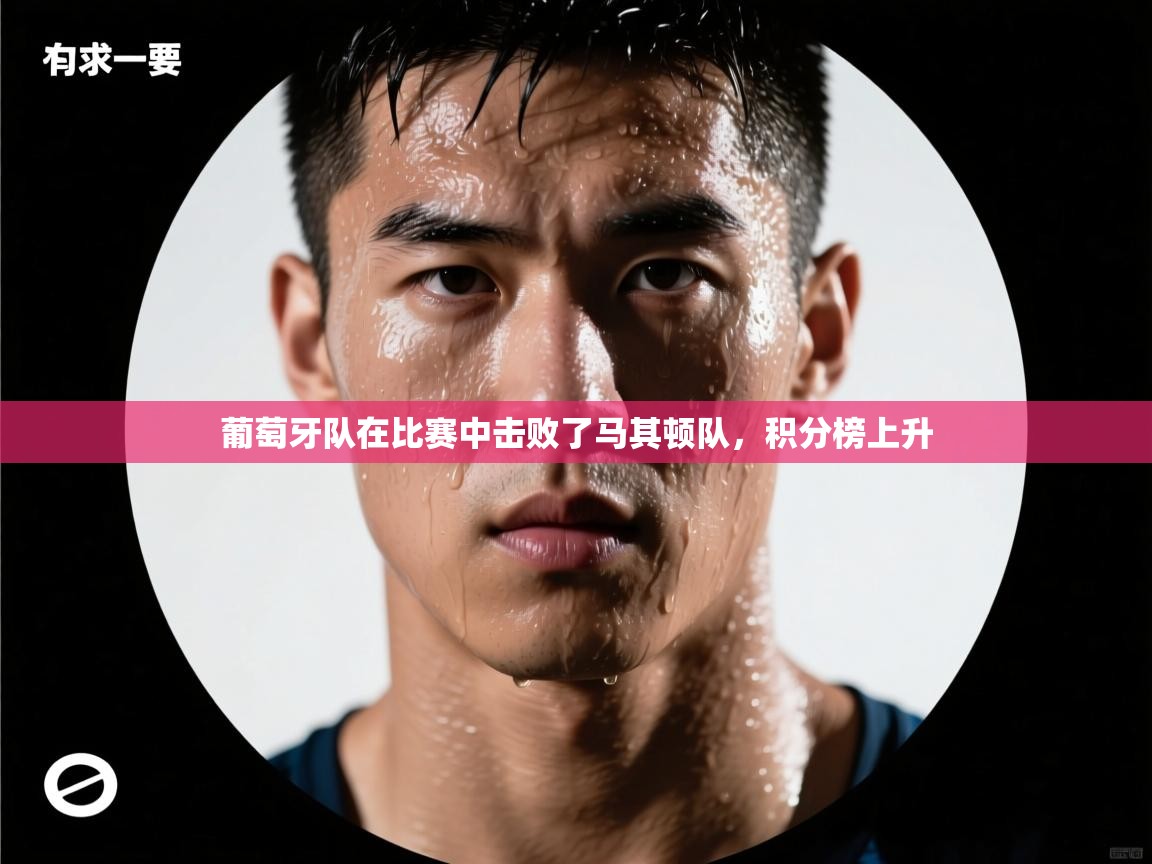 葡萄牙队在比赛中击败了马其顿队，积分榜上升  第1张