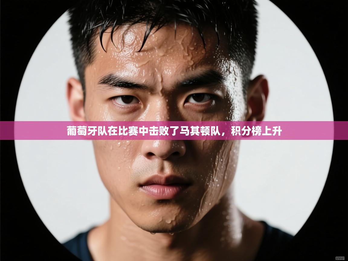 葡萄牙队在比赛中击败了马其顿队，积分榜上升  第2张