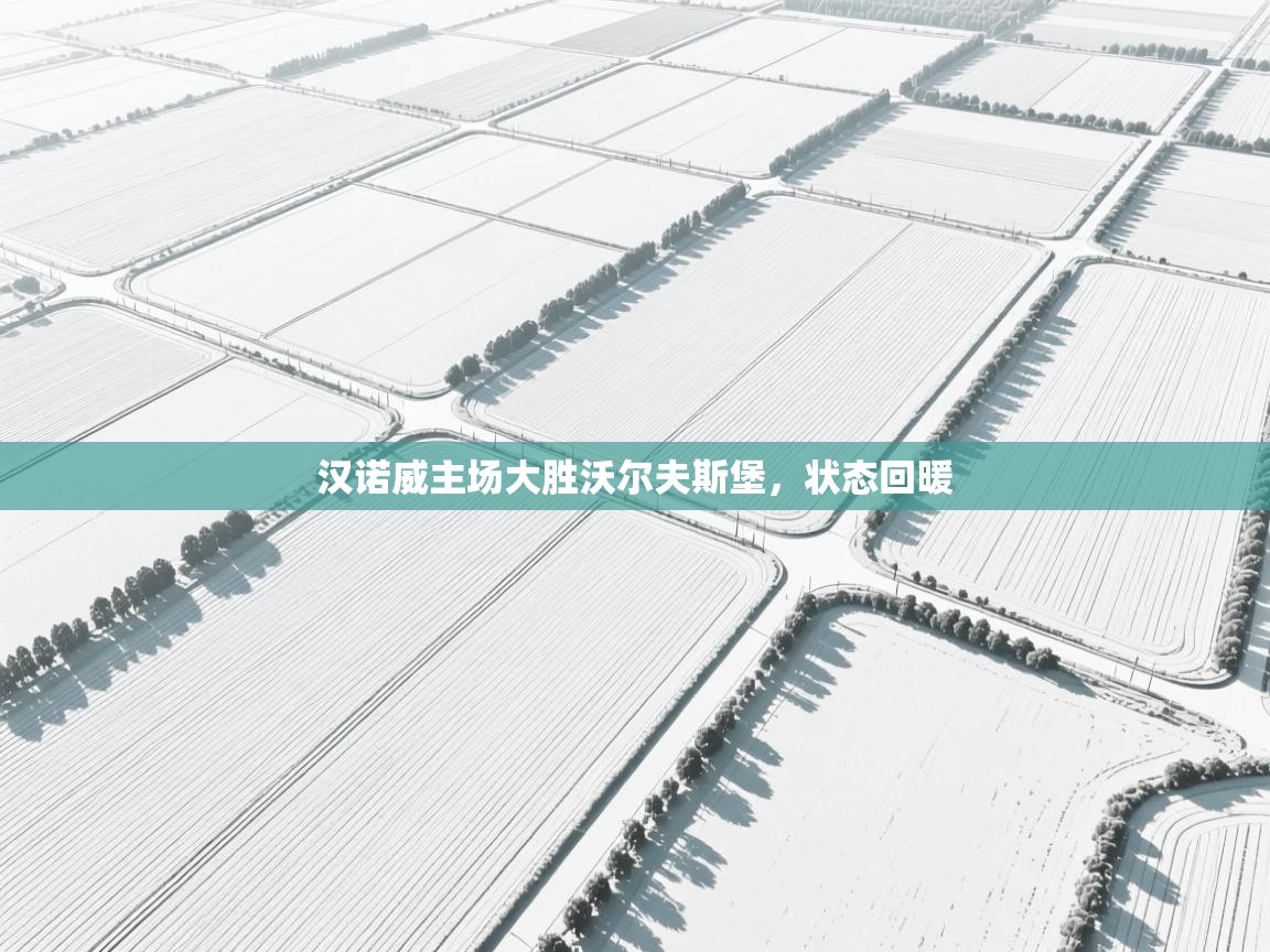 汉诺威主场大胜沃尔夫斯堡,状态回暖 第1张