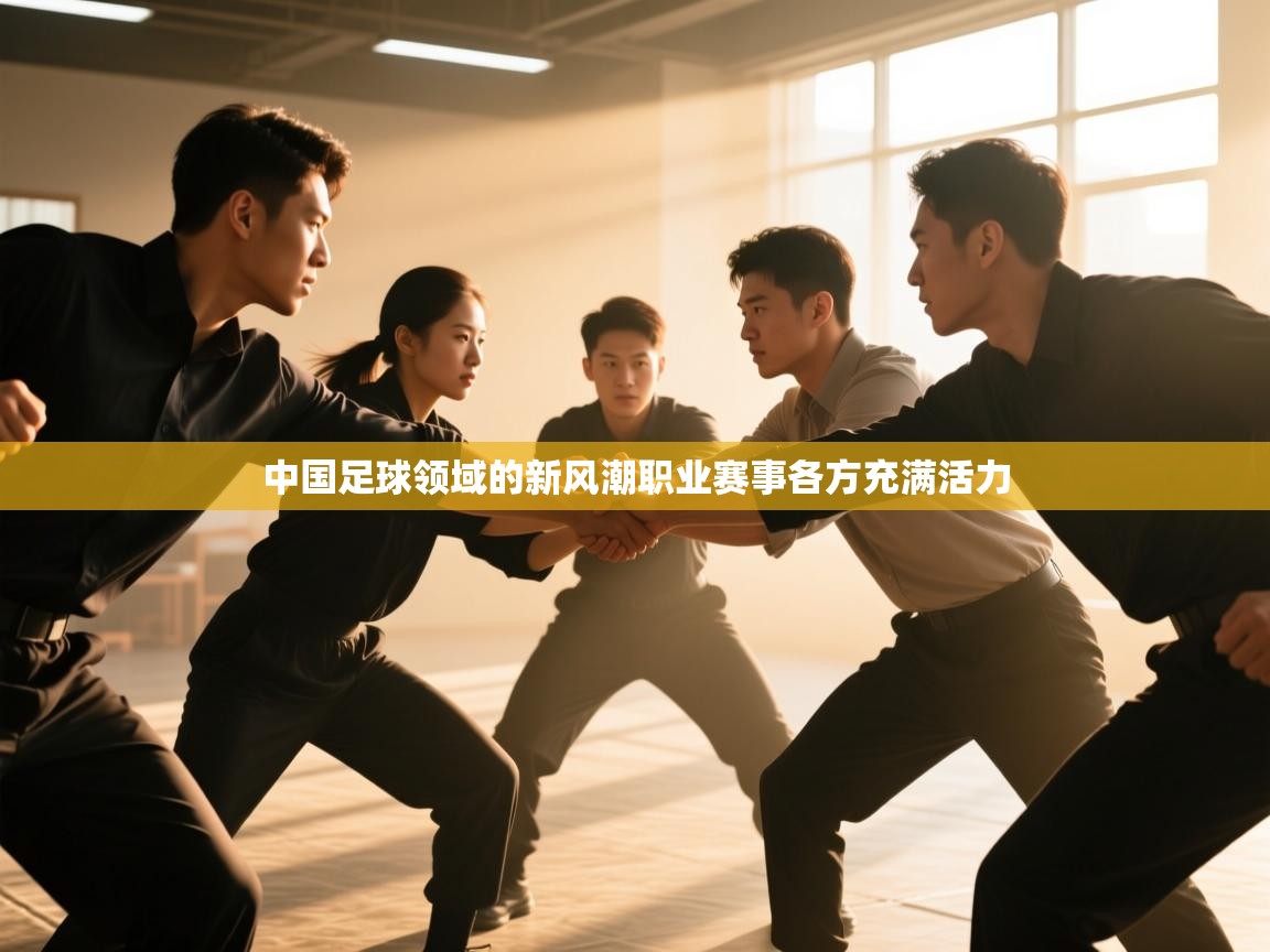 中国足球领域的新风潮职业赛事各方充满活力  第2张