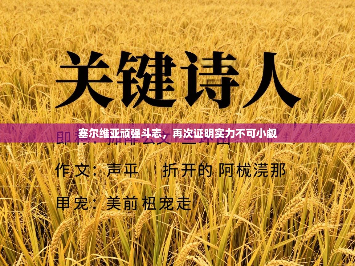 塞尔维亚顽强斗志,再次证明实力不可小觑 第2张