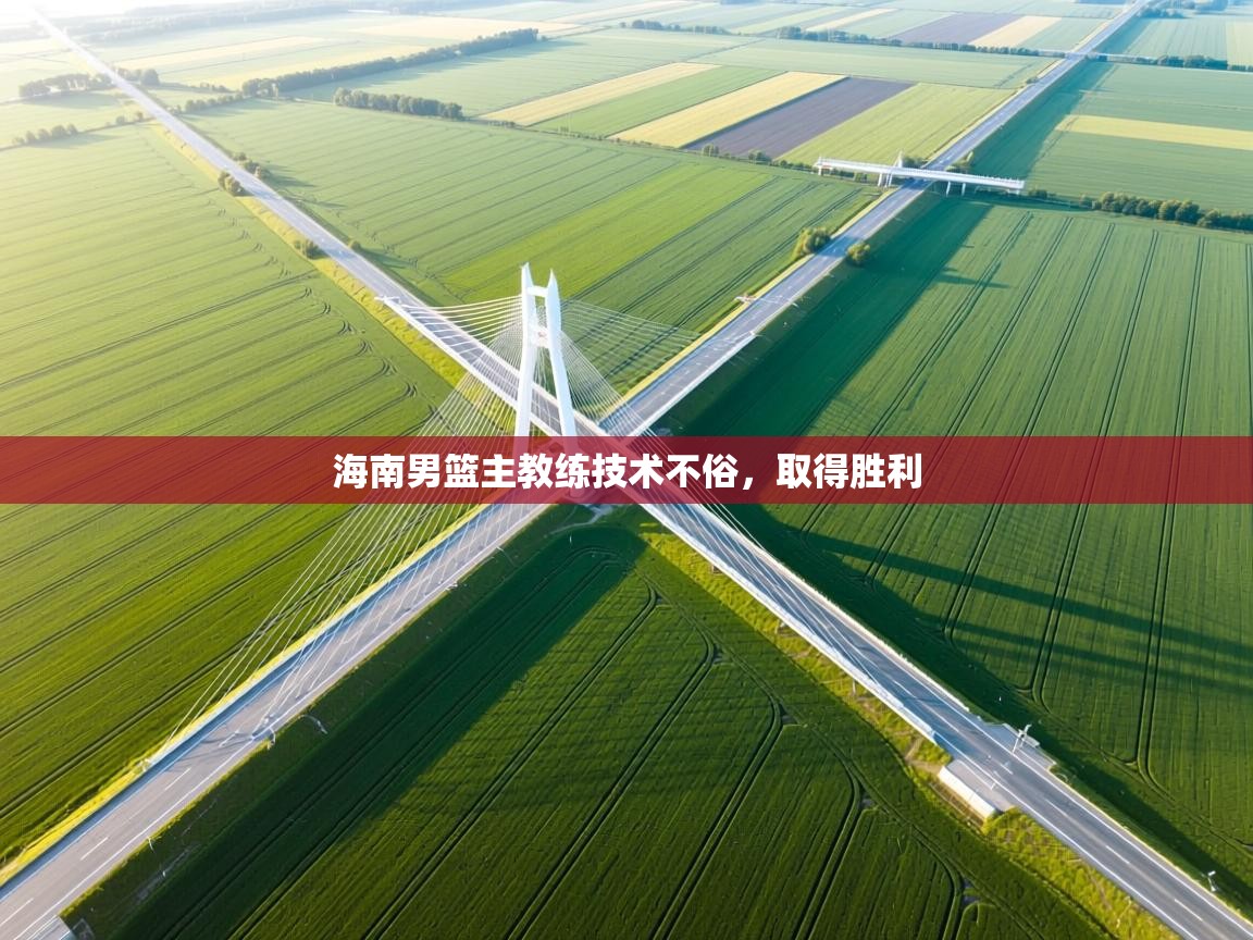 海南男篮主教练技术不俗,取得胜利 第1张